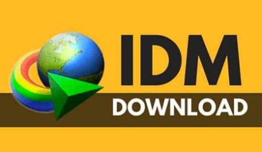 IDM下载管理软件 - 洒脱的抖猫猫